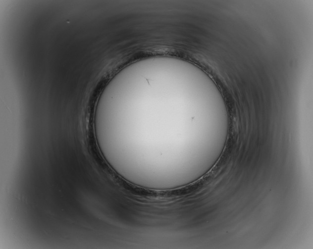 X0000100310739200806051328