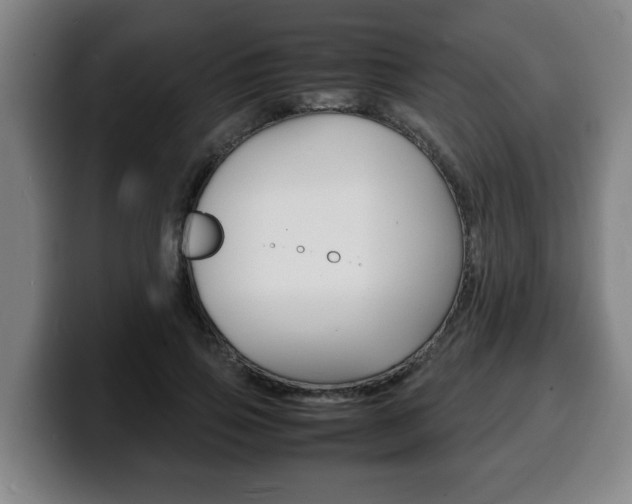 X0000100310741200806051328