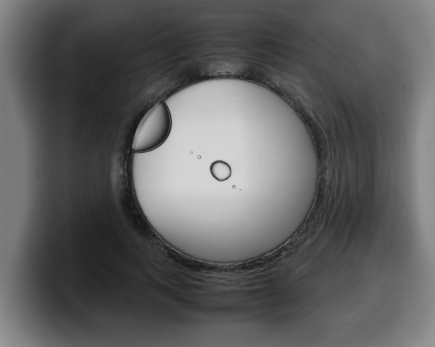 X0000100310743200806051328