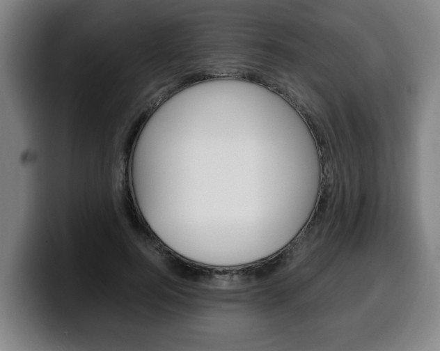 X0000100310744200806051328