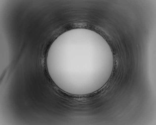 X0000100310745200806051328