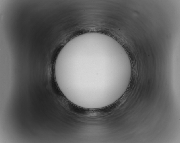 X0000100310746200806051328