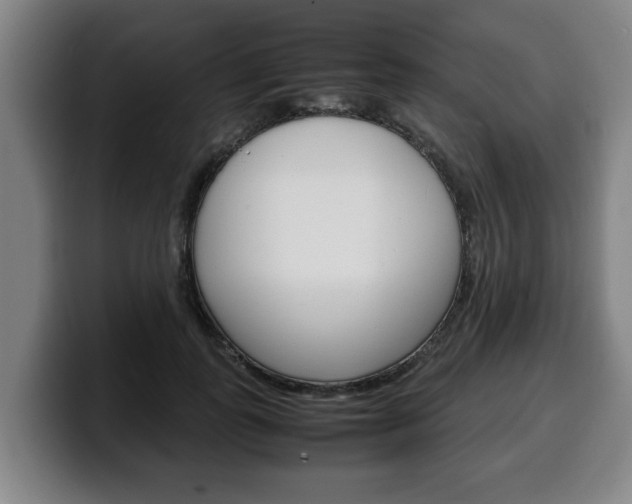 X0000100310747200806051328