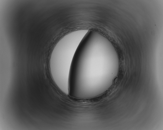 X0000100310750200806051328