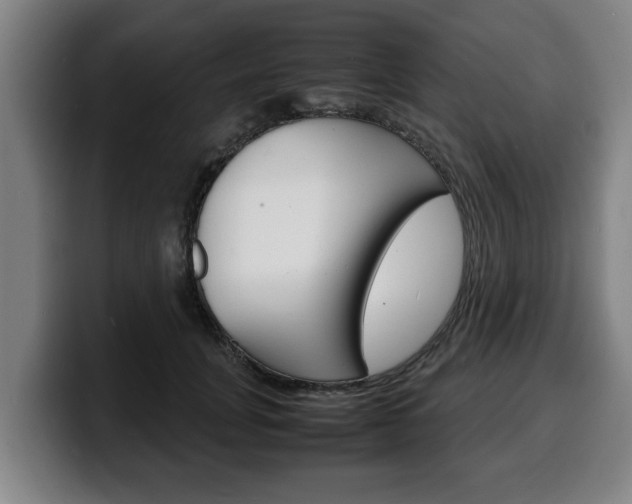 X0000100310751200806051328