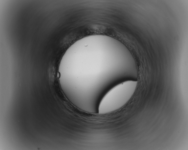 X0000100310752200806051328