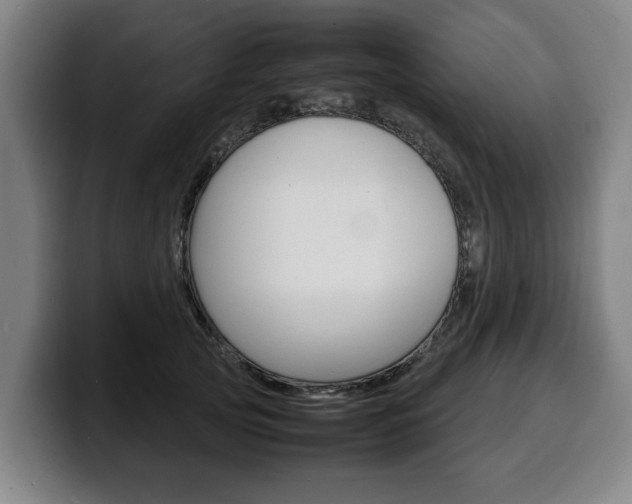 X0000100310753200806051328