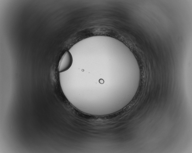 X0000100310755200806051328