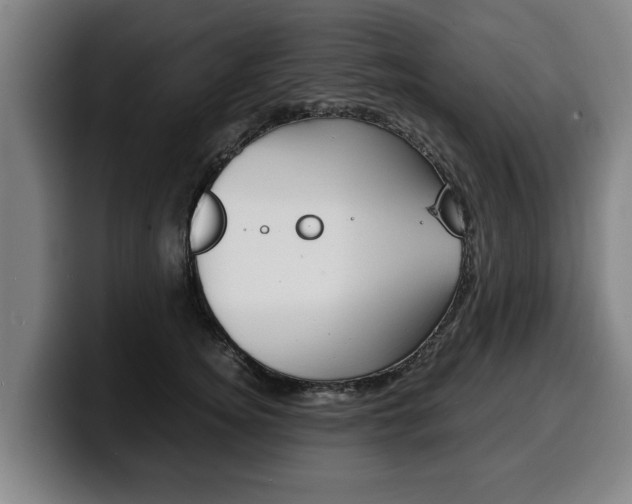 X0000100310756200806051328