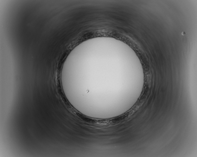 X0000100310757200806051328