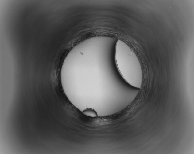 X0000100310759200806051329