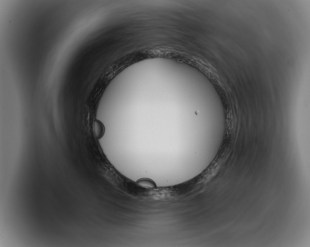 X0000100310762200806051329