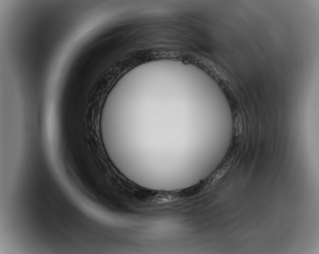 X0000100310764200806051329