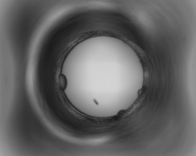X0000100310765200806051329