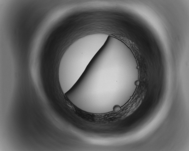 X0000100310766200806051329