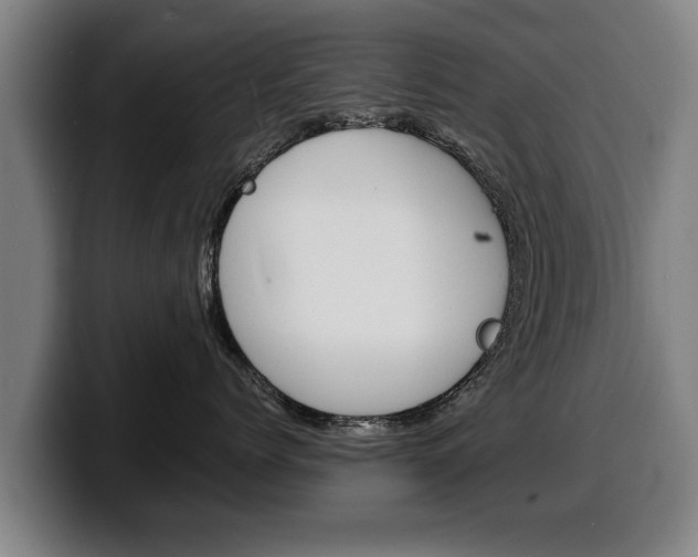 X0000100310768200806051329