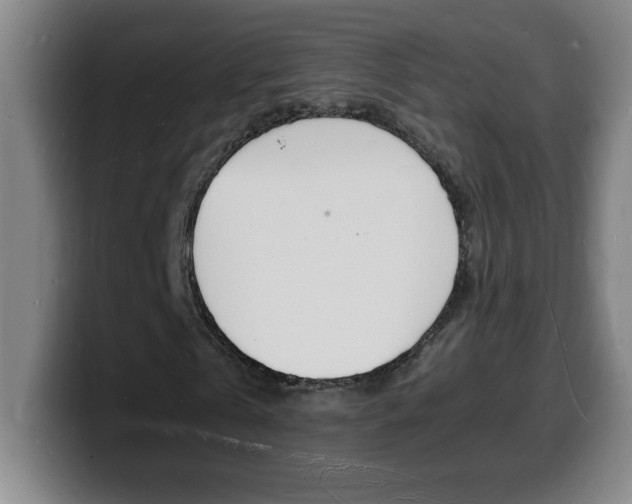 X0000100310769200806051328