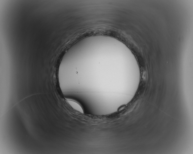 X0000100310771200806051328