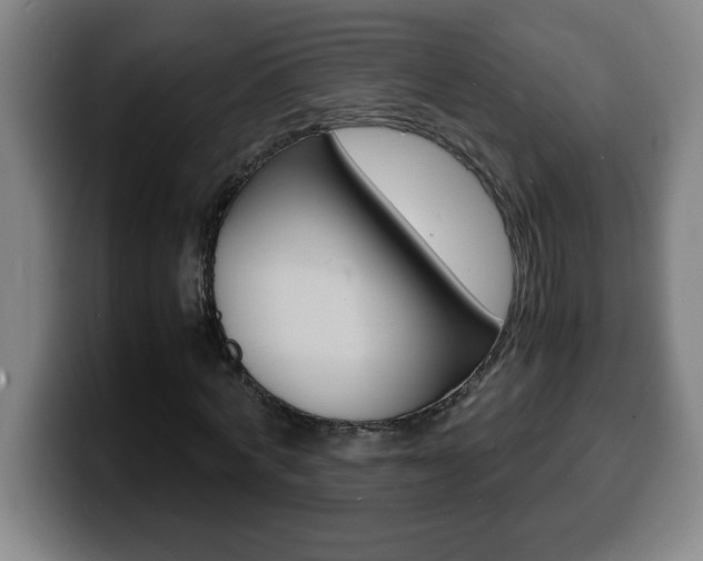 X0000100310772200806051328