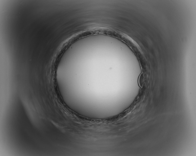 X0000100310775200806051328