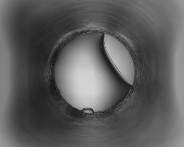 X0000100310776200806051328