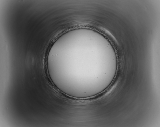 X0000100310777200806051328