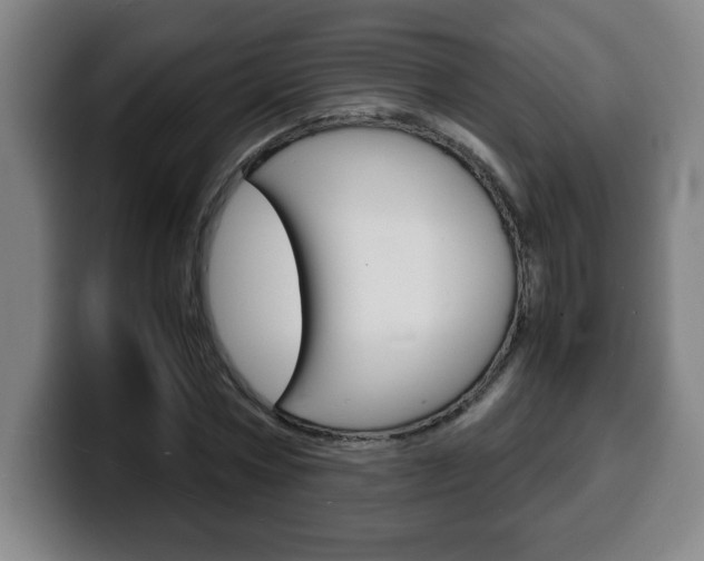 X0000100310778200806051328