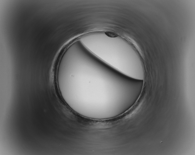 X0000100310779200806051328