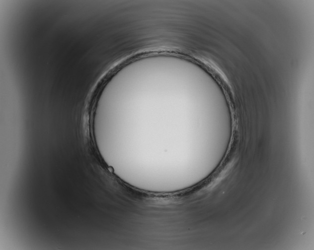 X0000100310781200806051328