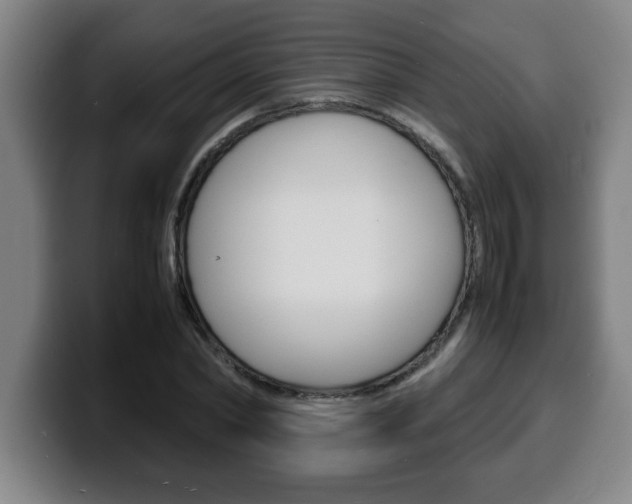 X0000100310782200806051328