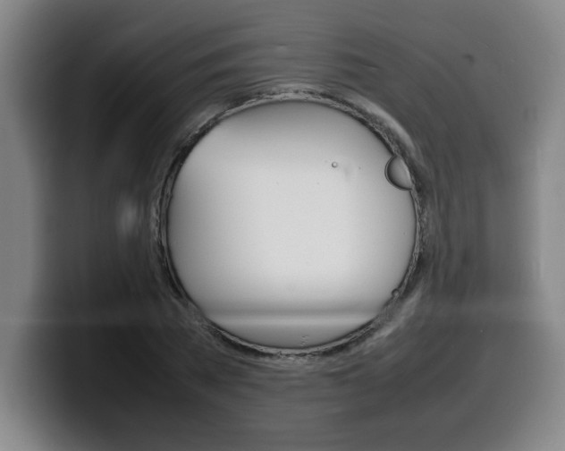X0000100310785200806051328