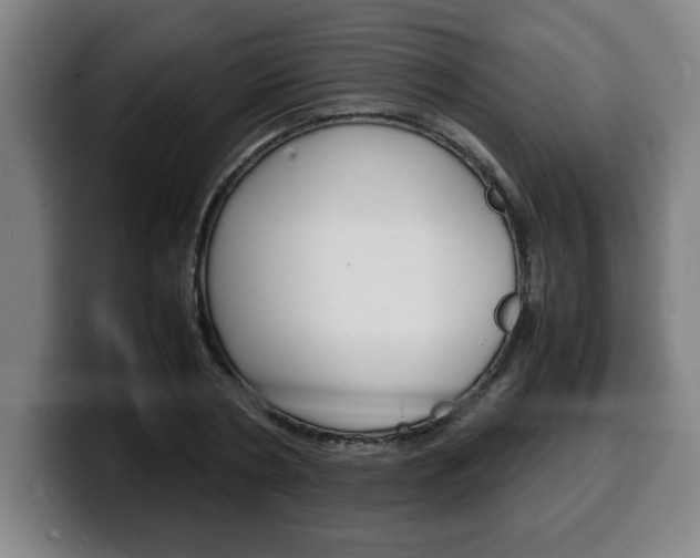 X0000100310786200806051328
