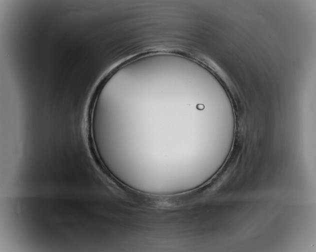 X0000100310787200806051328