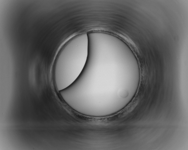 X0000100310790200806051328
