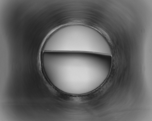 X0000100310792200806051328