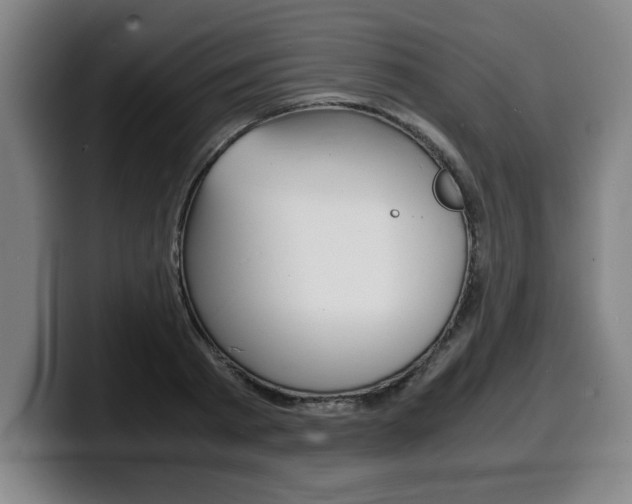 X0000100310793200806051328