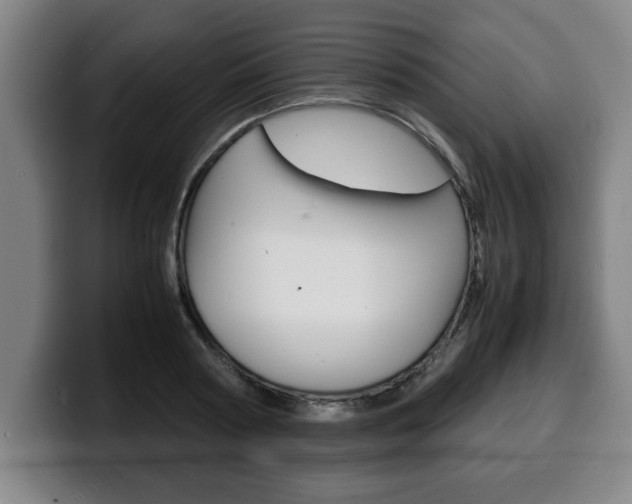X0000100310794200806051328