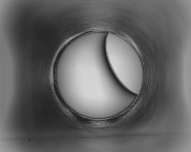 X0000100310795200806051328