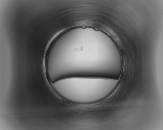 X0000100310796200806051328