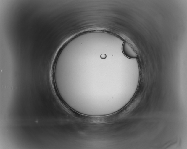 X0000100310797200806051328
