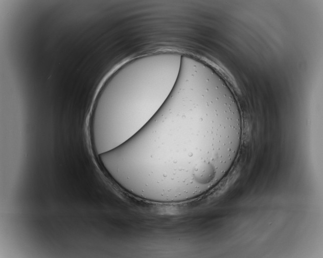 X0000100310798200806051328