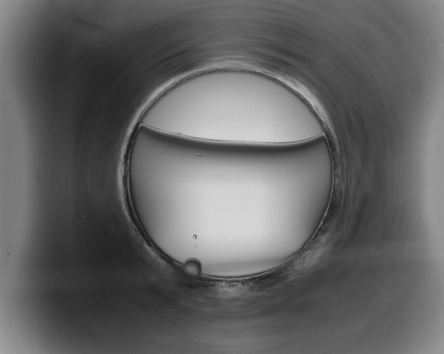 X0000100310799200806051328