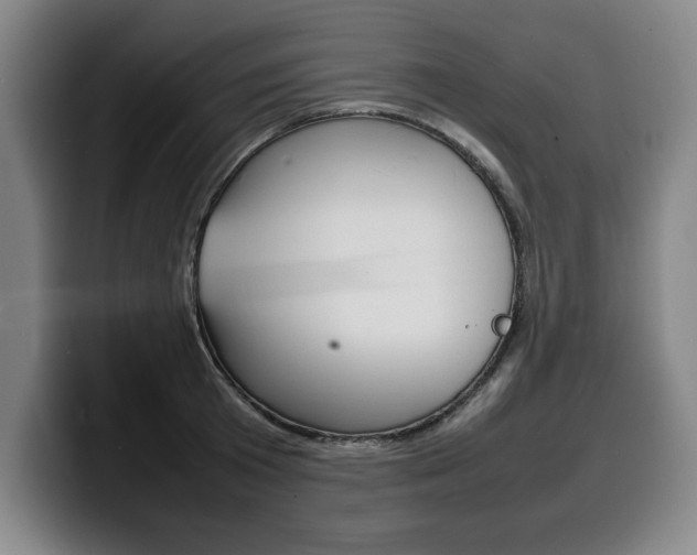 X0000100310801200806051328
