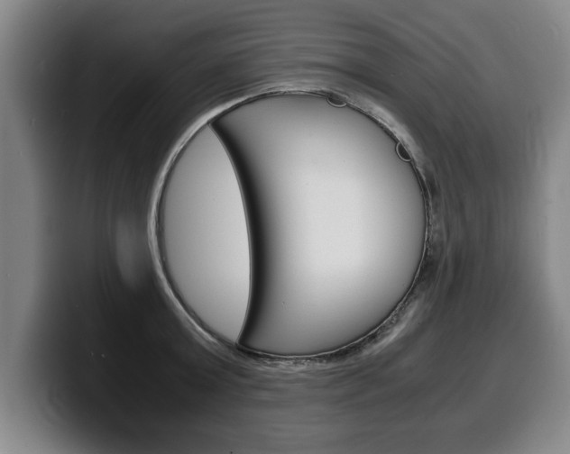 X0000100310803200806051328