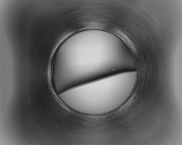 X0000100310804200806051328