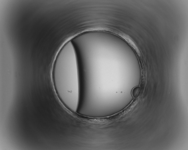X0000100310805200806051327