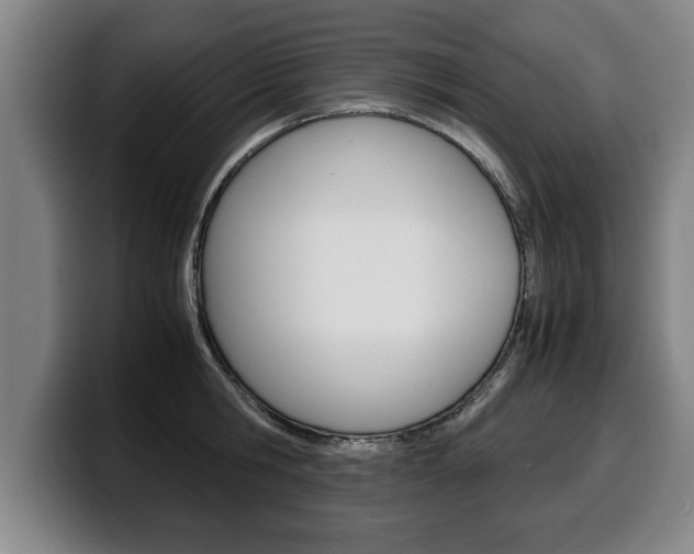X0000100310806200806051327