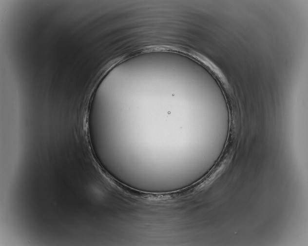 X0000100310809200806051327