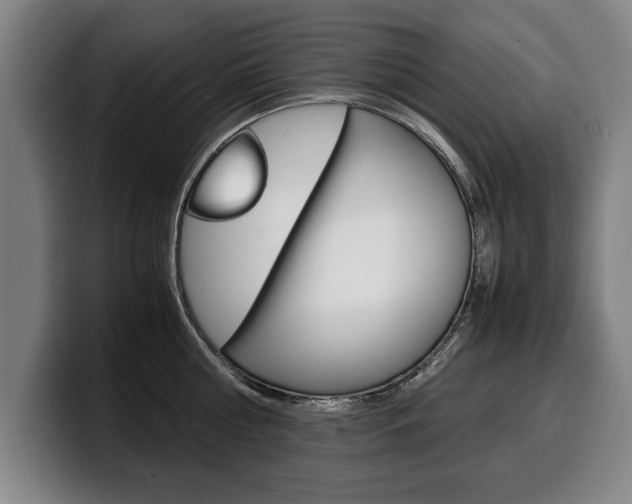 X0000100310810200806051327