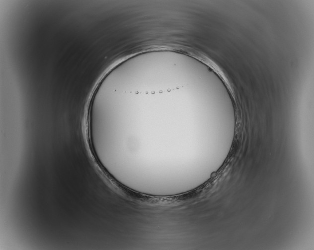 X0000100310811200806051327